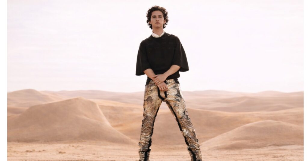 Dune 3 Release Date, Cast, Story & Latest Updates (Dune Part 3)