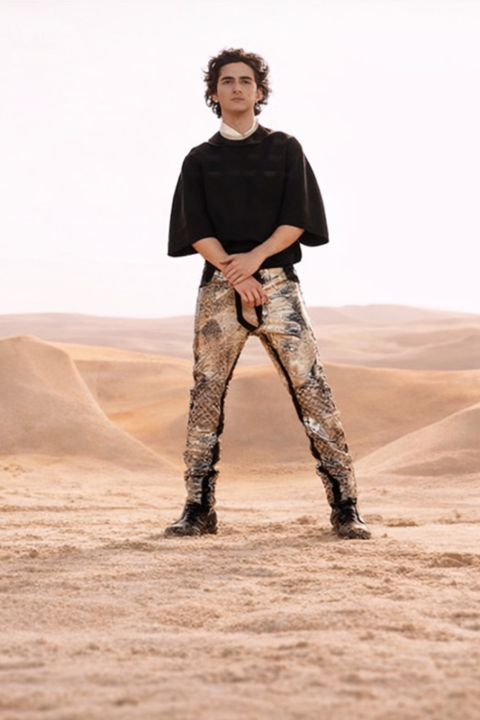 dune 3 Release date timothee chalamet blue eyes close up